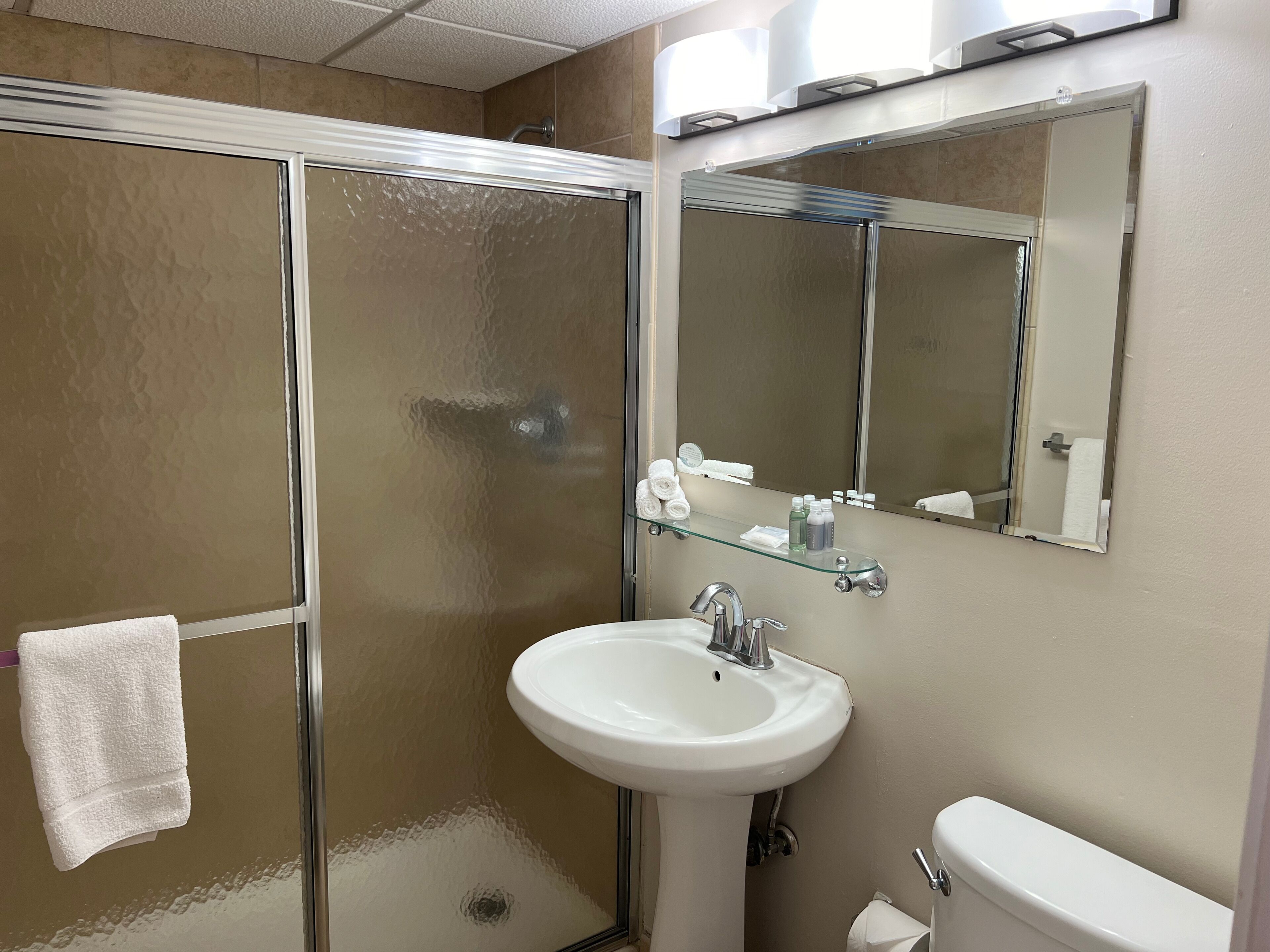 A bathroom with a glass shower enclosure, a white sink, a mirror, and a toilet.