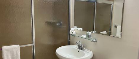 A bathroom with a glass shower enclosure, a white sink, a mirror, and a toilet.