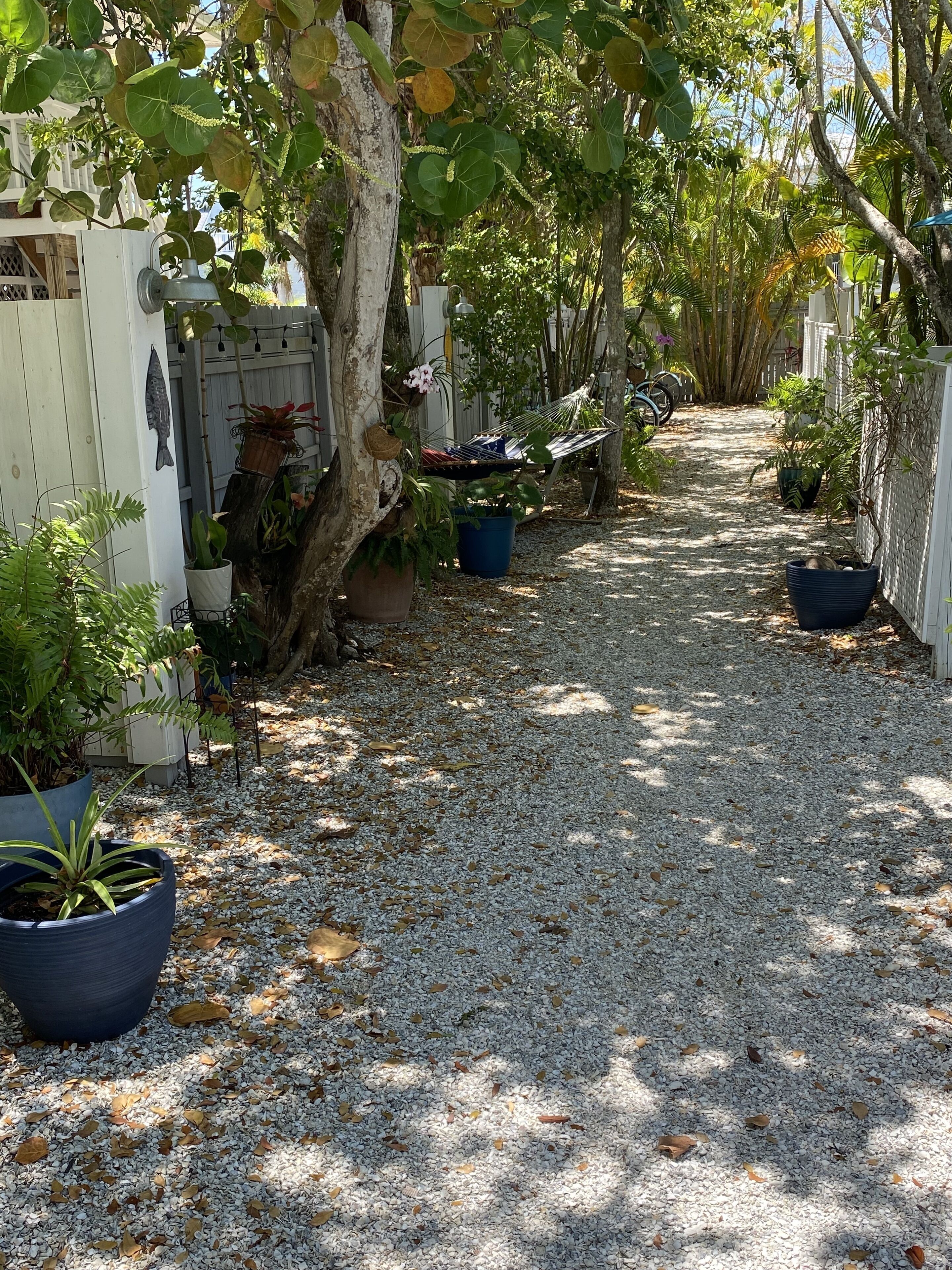 En grussti kantet af krukker med planter og en hængekøje.