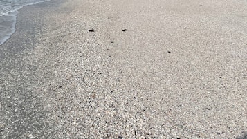 Playa privada en los alrededores, playa de arena blanca y camastros