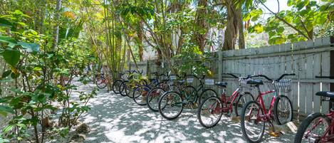 Bicycles parked in a shaded area with a gravel path.