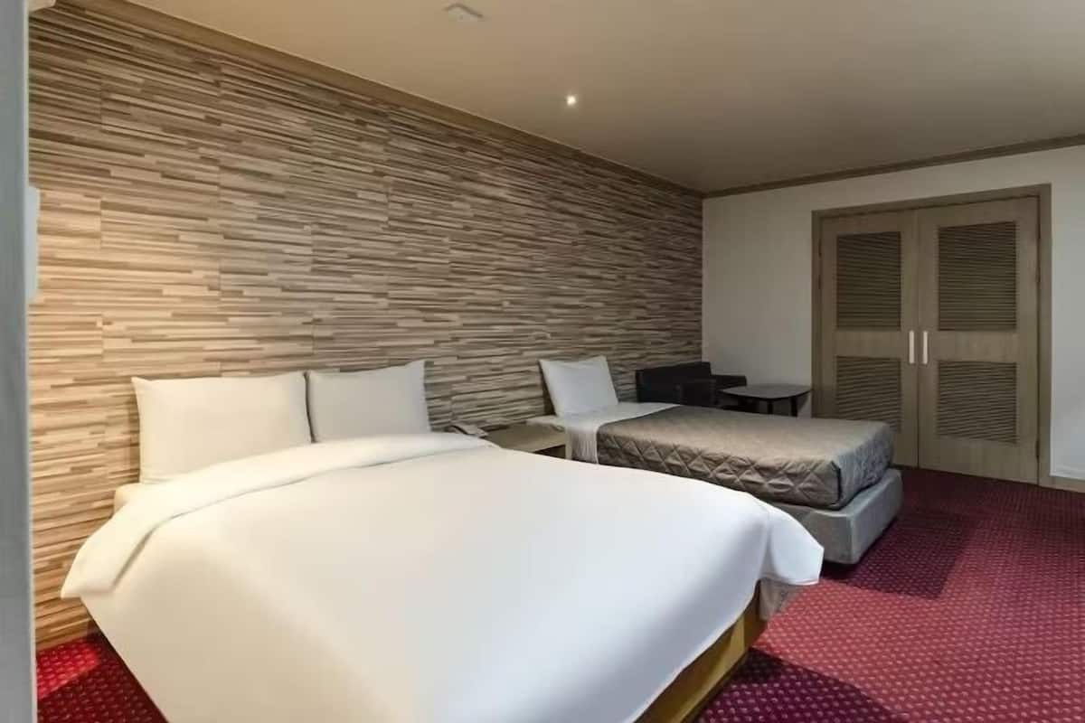 Ropa de cama de alta calidad, escritorio y cortinas blackout