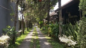 A narrow pathway flanked by lush greenery and traditional wooden structures. - Rahayu 2 Bungalows (Ubud)