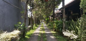 Property grounds - Rahayu 2 Bungalows (Ubud)