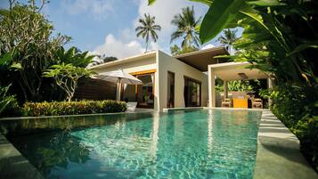 Luxury Villa, Private Pool | Living area | 42-inch flat-screen TV with digital channels, TV