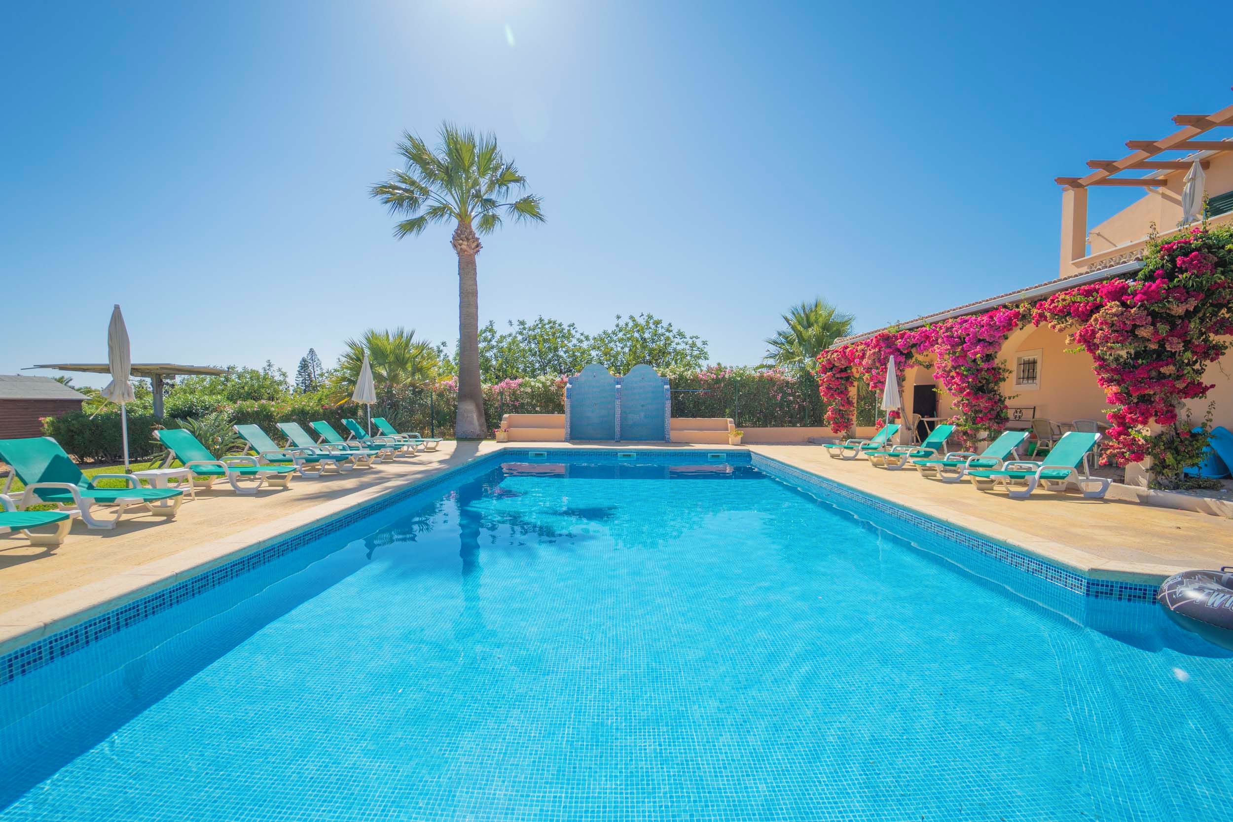 Ein Schwimmbecken mit klarem, blauem Wasser, umgeben von Liegestühlen und einer Pergola mit blühenden Pflanzen.