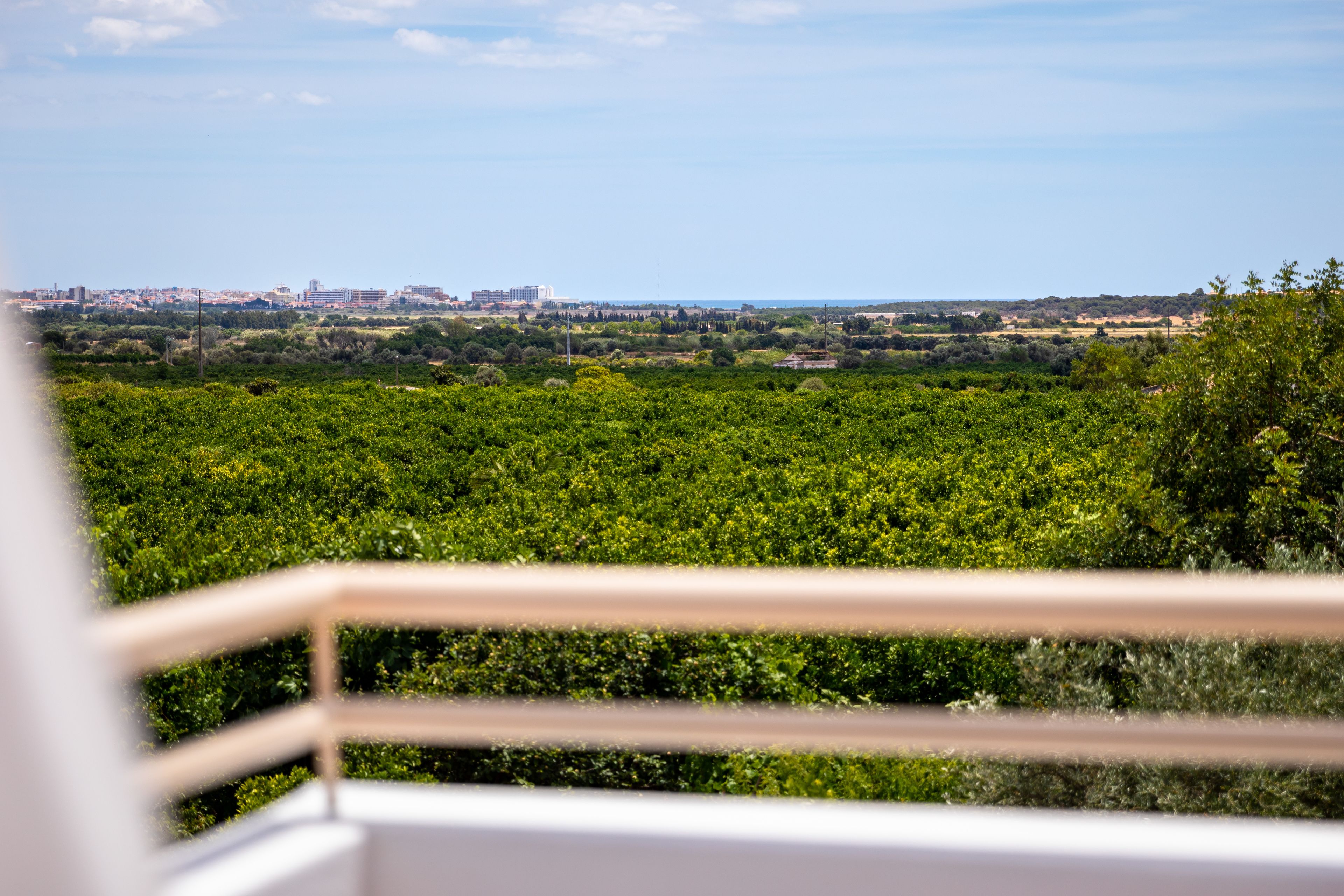 A balcony with a view of a cityscape and greenery.