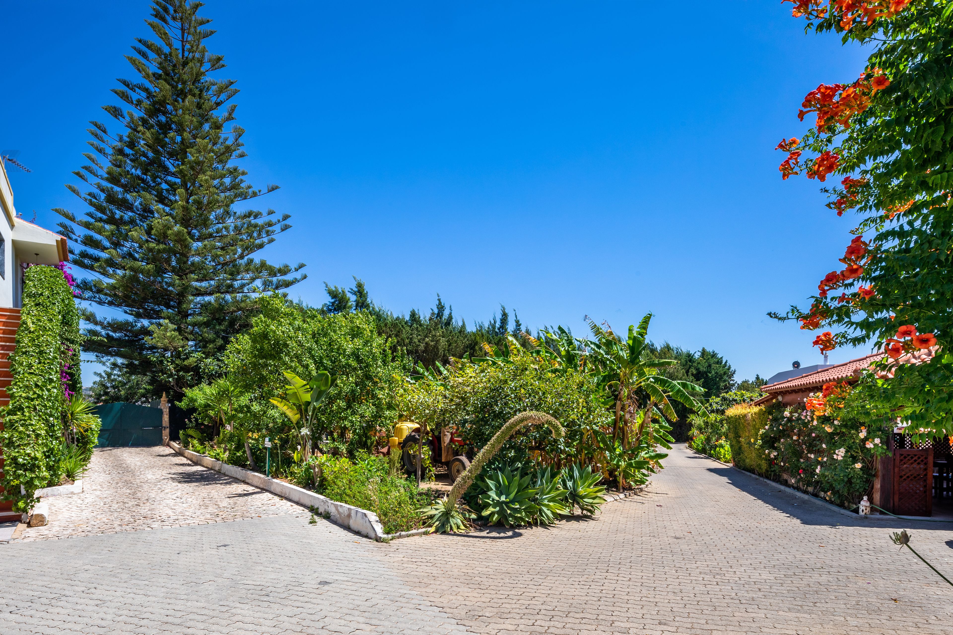 Foto - Apartamentos Flor da Laranja, Albufeira by AlgarveBlossom