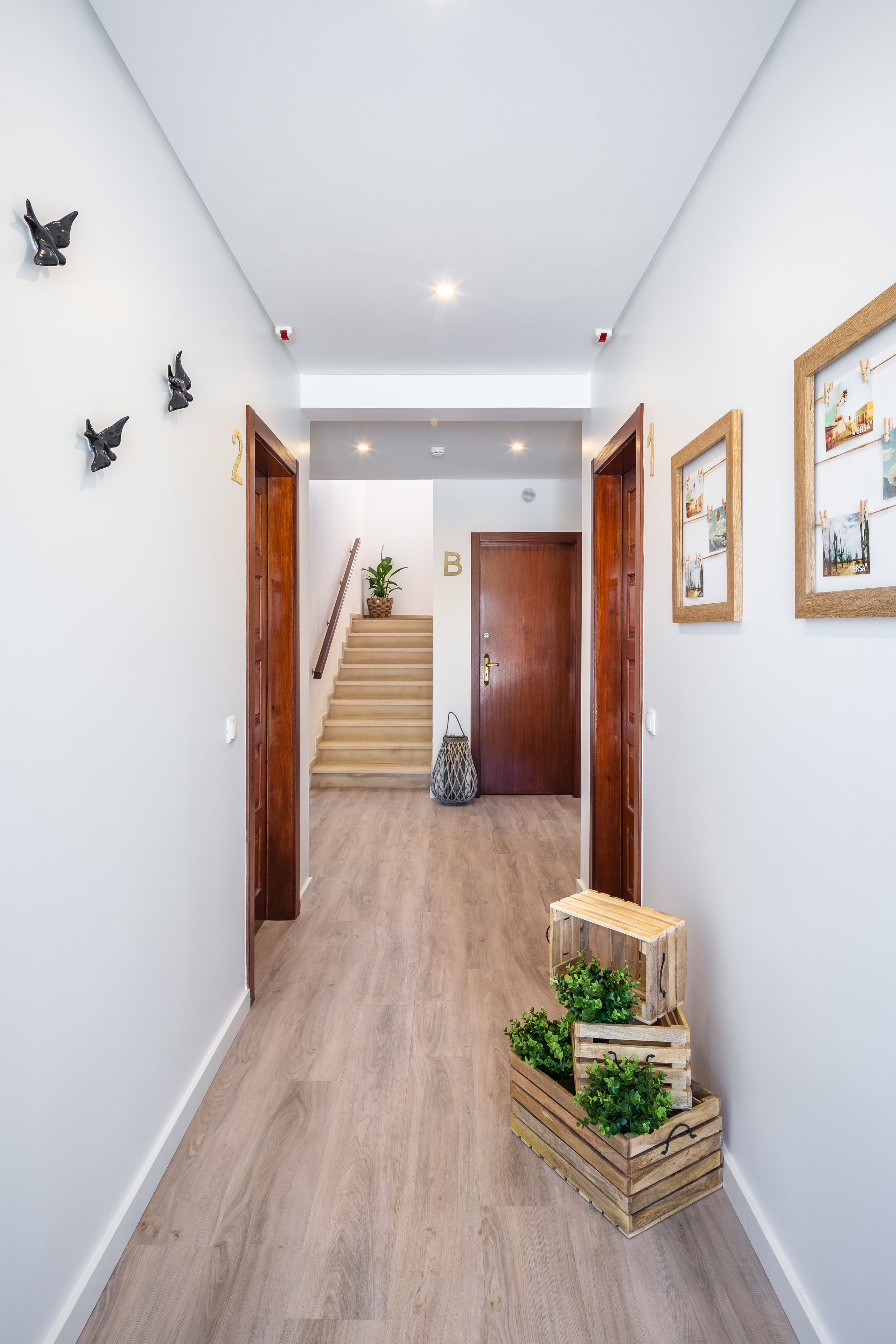 Foto - Apartamentos Flor da Laranja, Albufeira by AlgarveBlossom