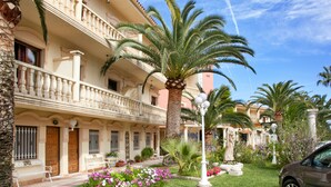 A hotel with a garden, palm trees, and a statue. - Hotel Rosa (Denia)