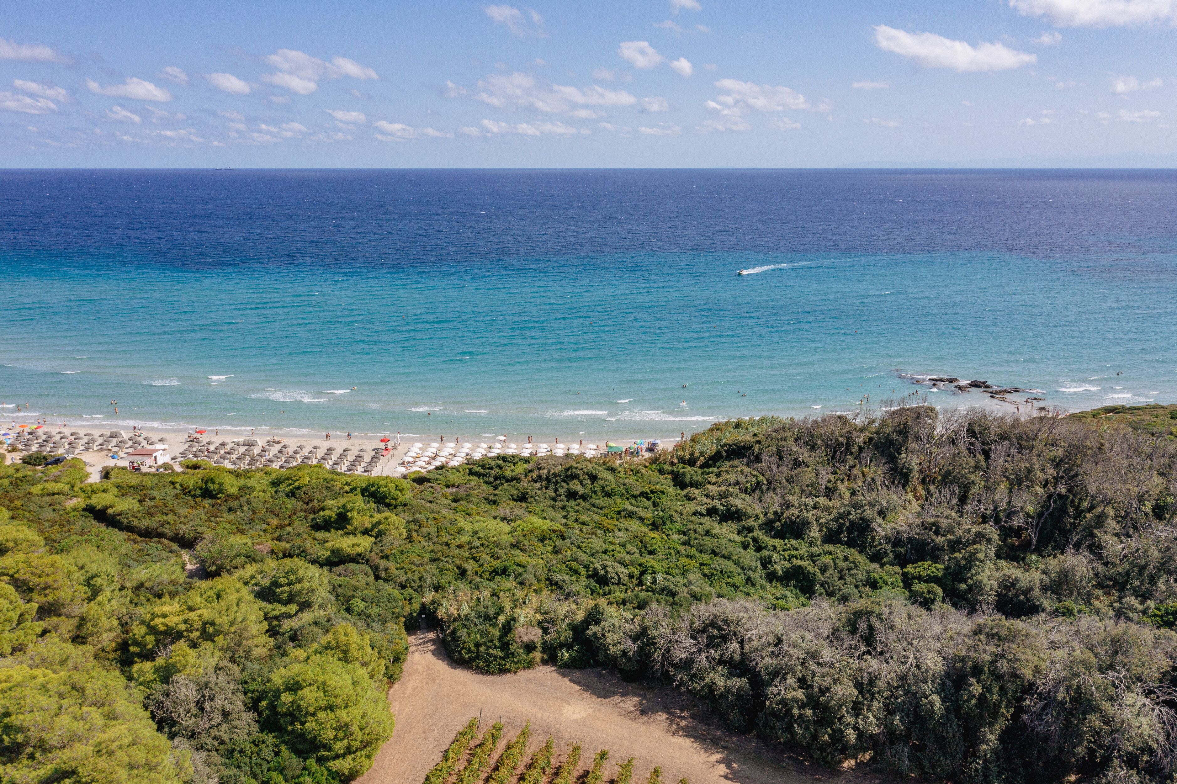 A coastal landscape with a beach, dense greenery, and a clear view of the ocean.