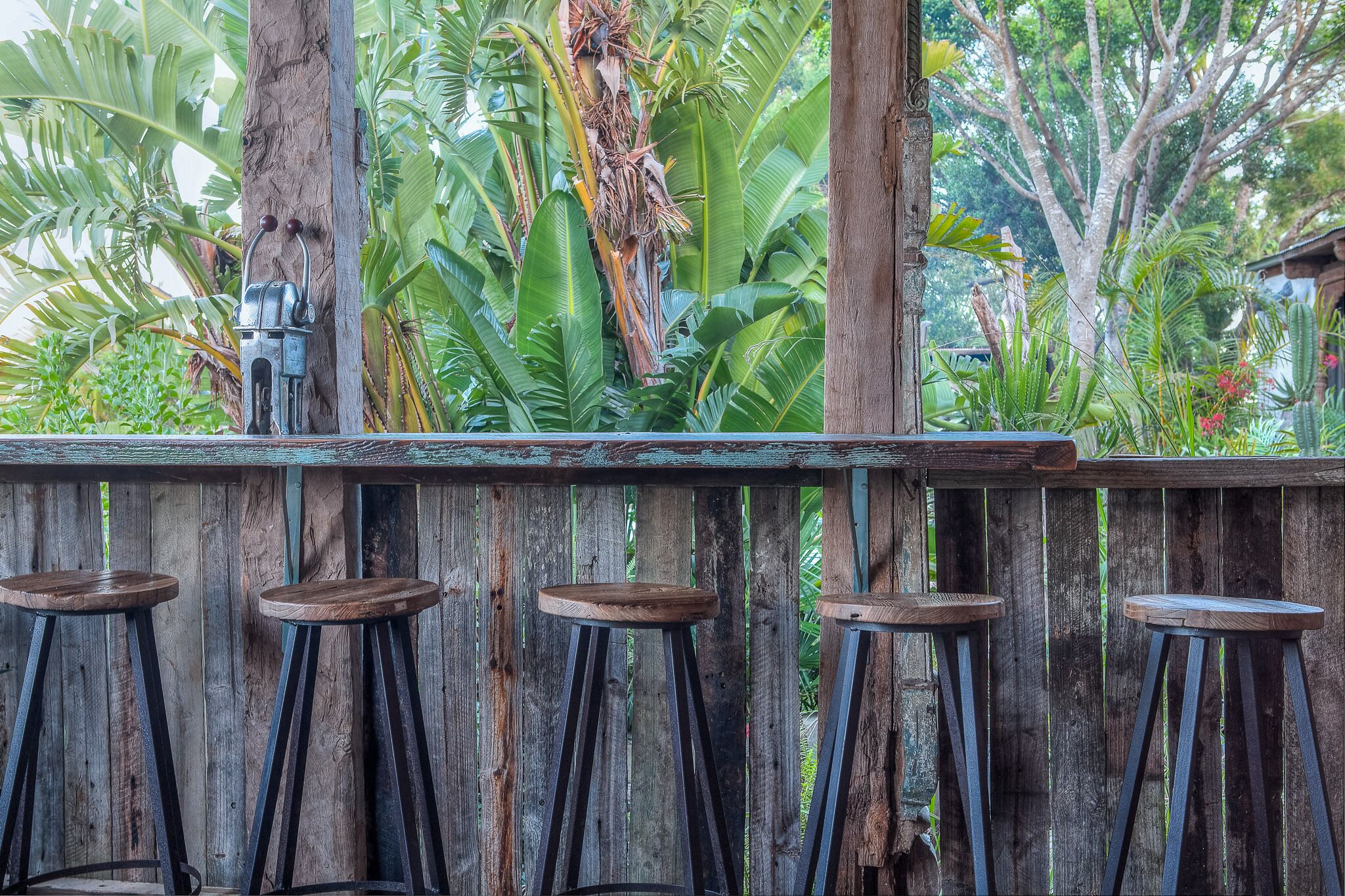 Un bar de madera rústica con cuatro taburetes, rodeado de exuberante vegetación tropical.