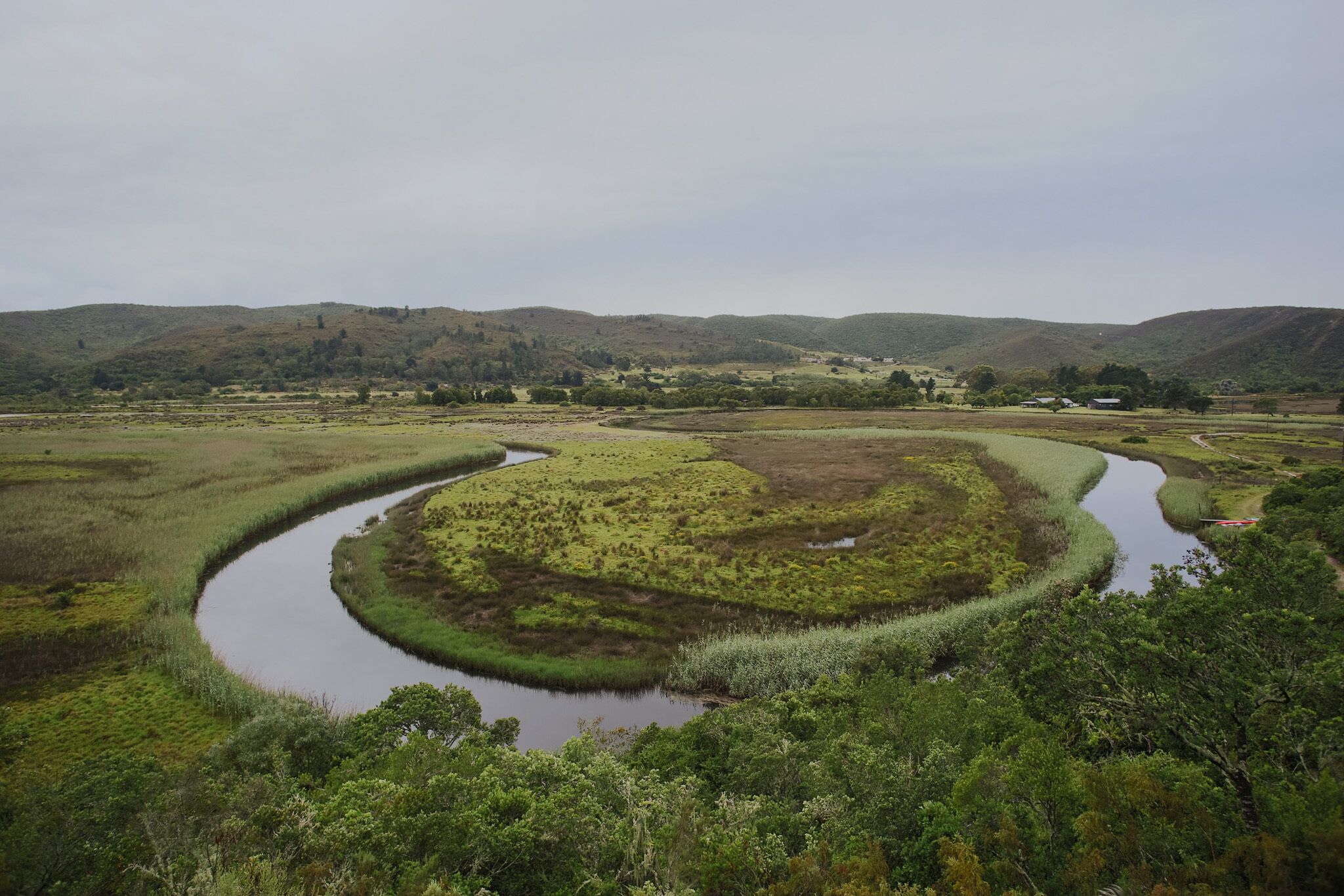 Un río serpentea por un paisaje exuberante con colinas al fondo.