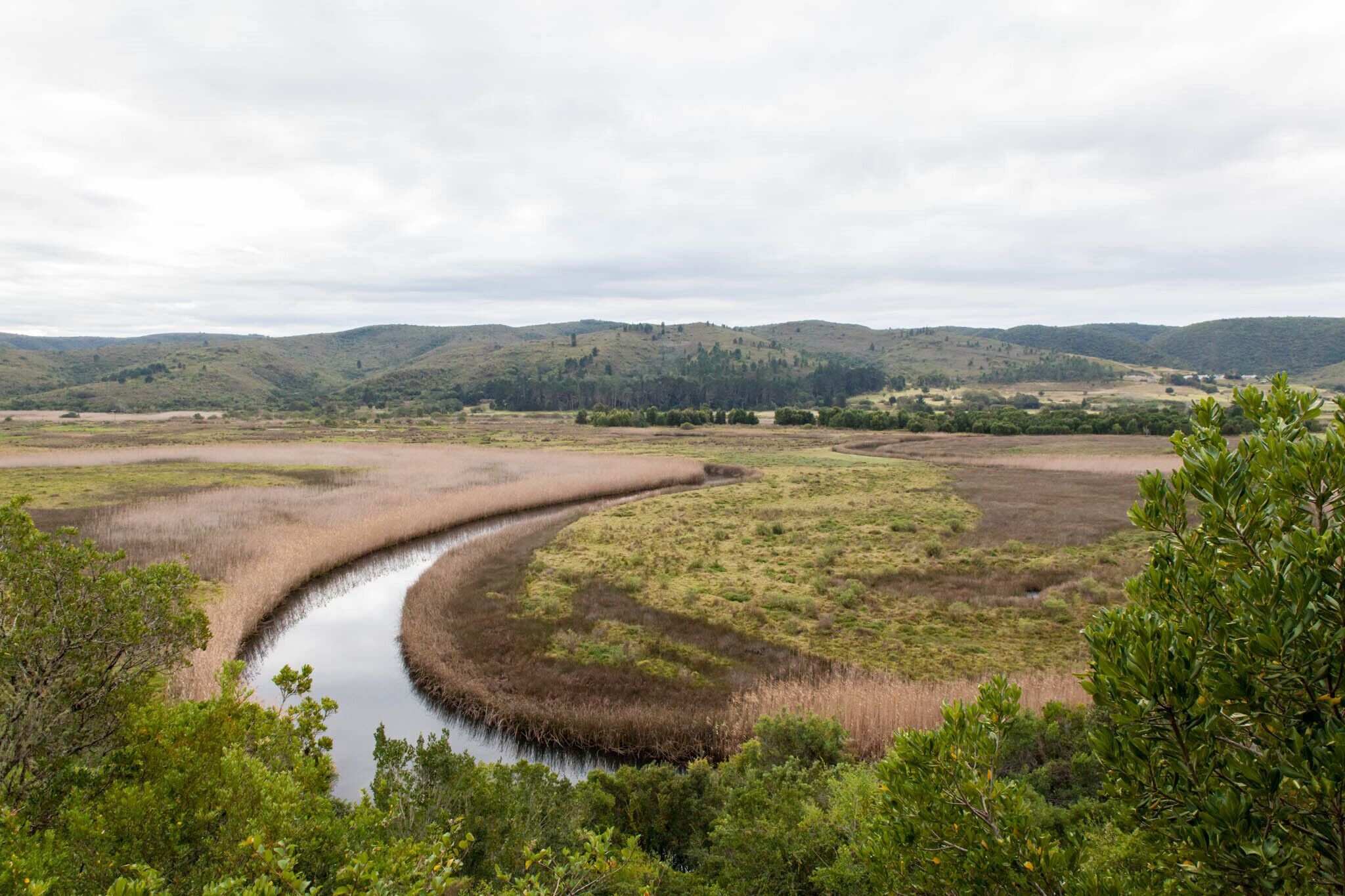 Ein Fluss schlängelt sich durch eine sumpfige Landschaft, im Hintergrund H ügel.