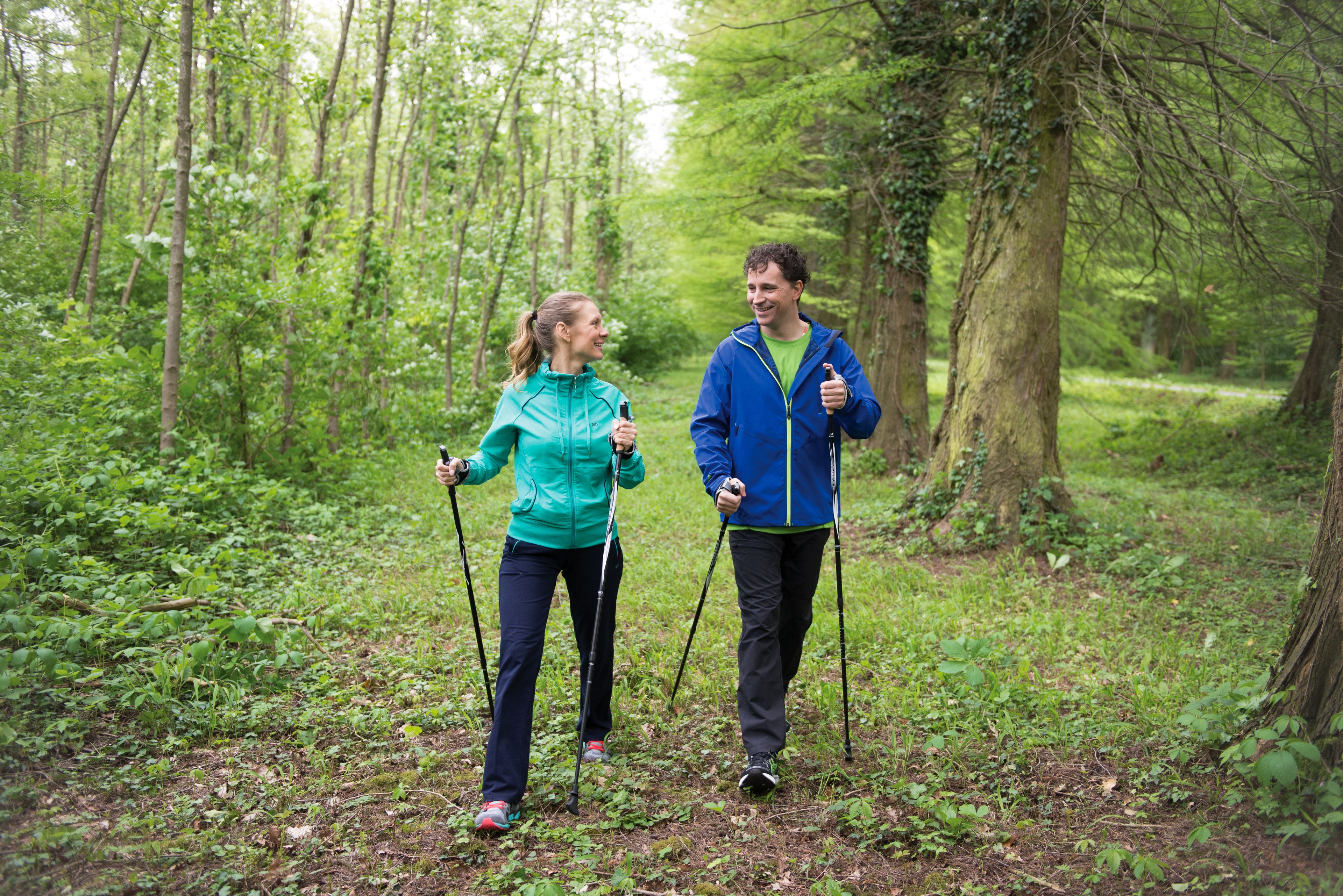 Two people hiking in a forested area.