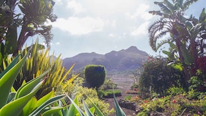 A garden with tropical plants, a neatly trimmed bush, and a mountain in the background. - Finca El Picacho (San Cristóbal de La Laguna)