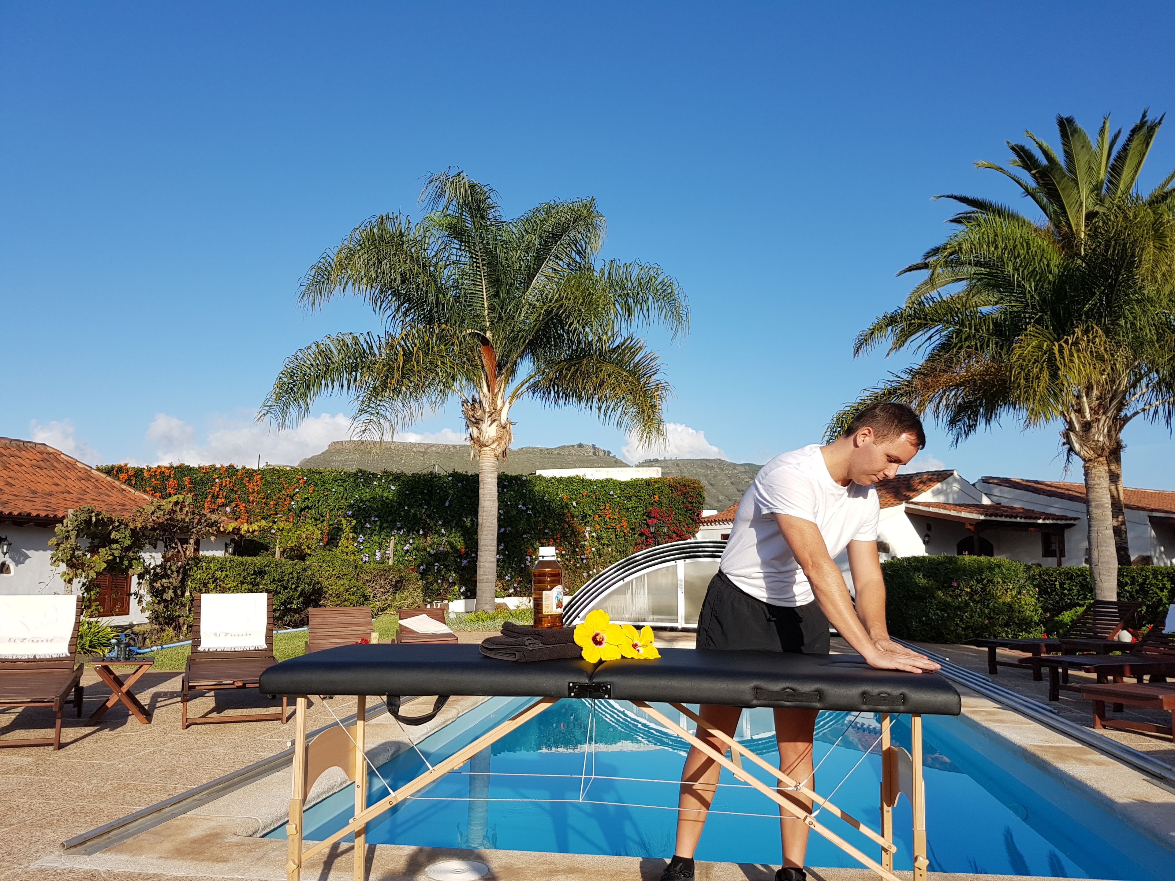 A person ironing clothes by a poolside with a view of palm trees and a mountain in the background.