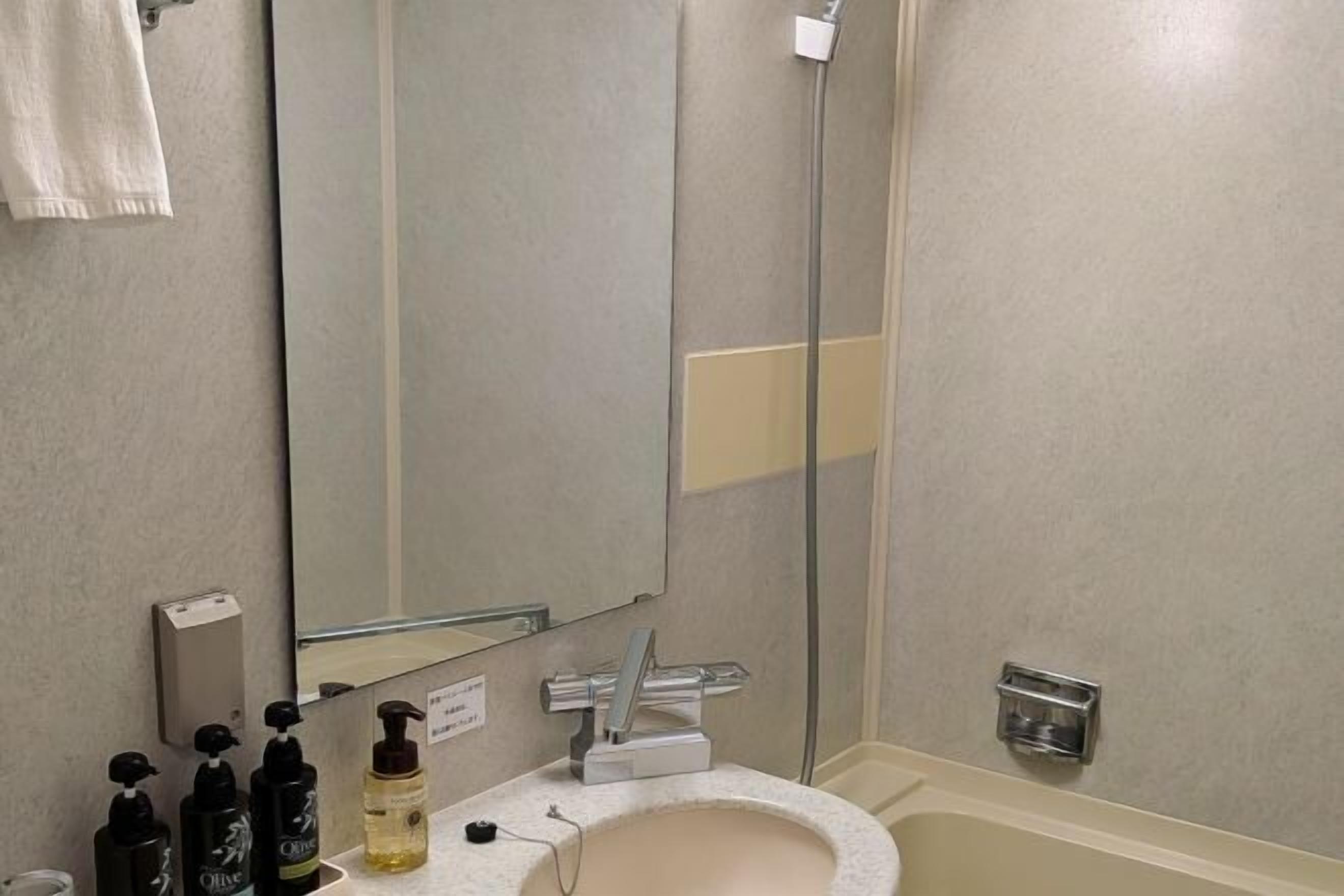 Combined shower/tub, free toiletries, hair dryer, slippers