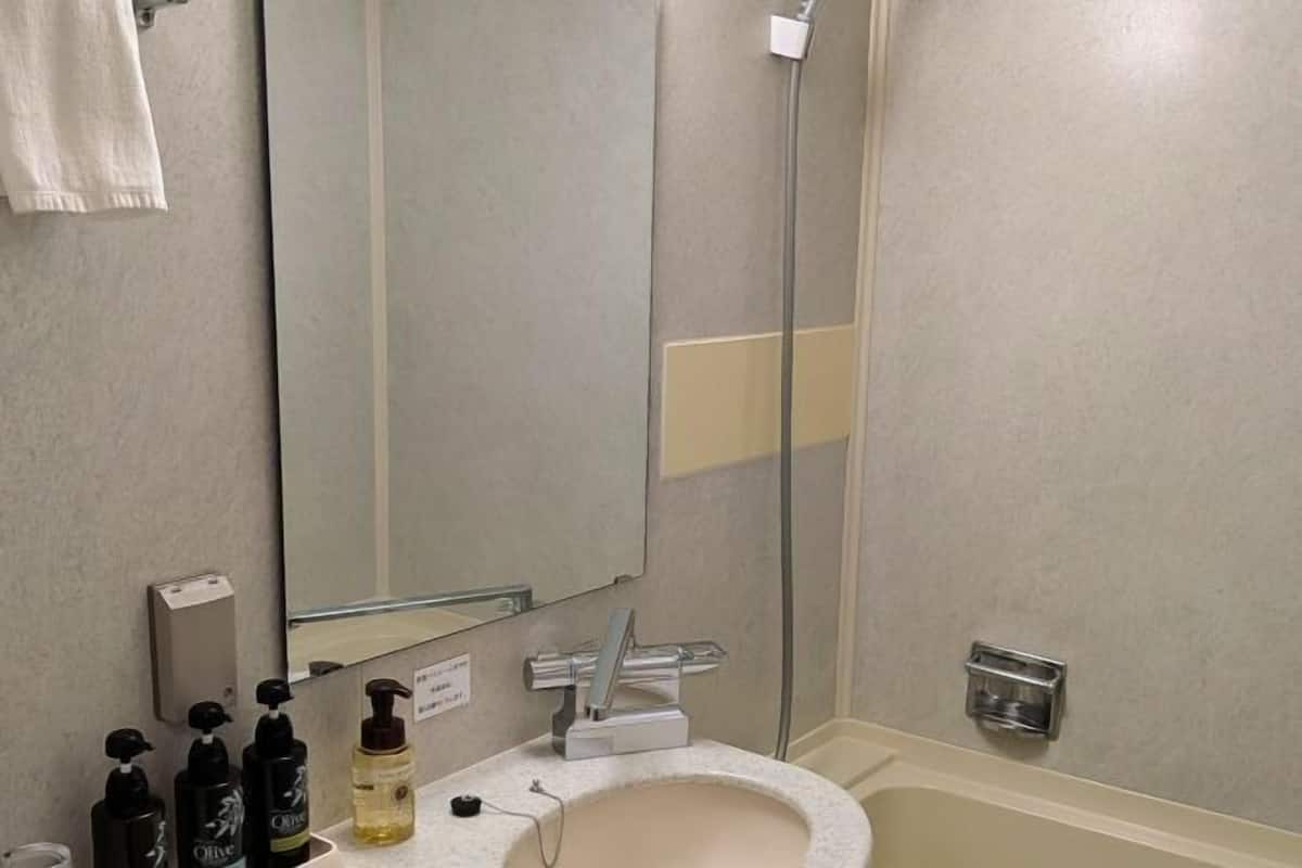 Combined shower/bathtub, free toiletries, hair dryer, slippers