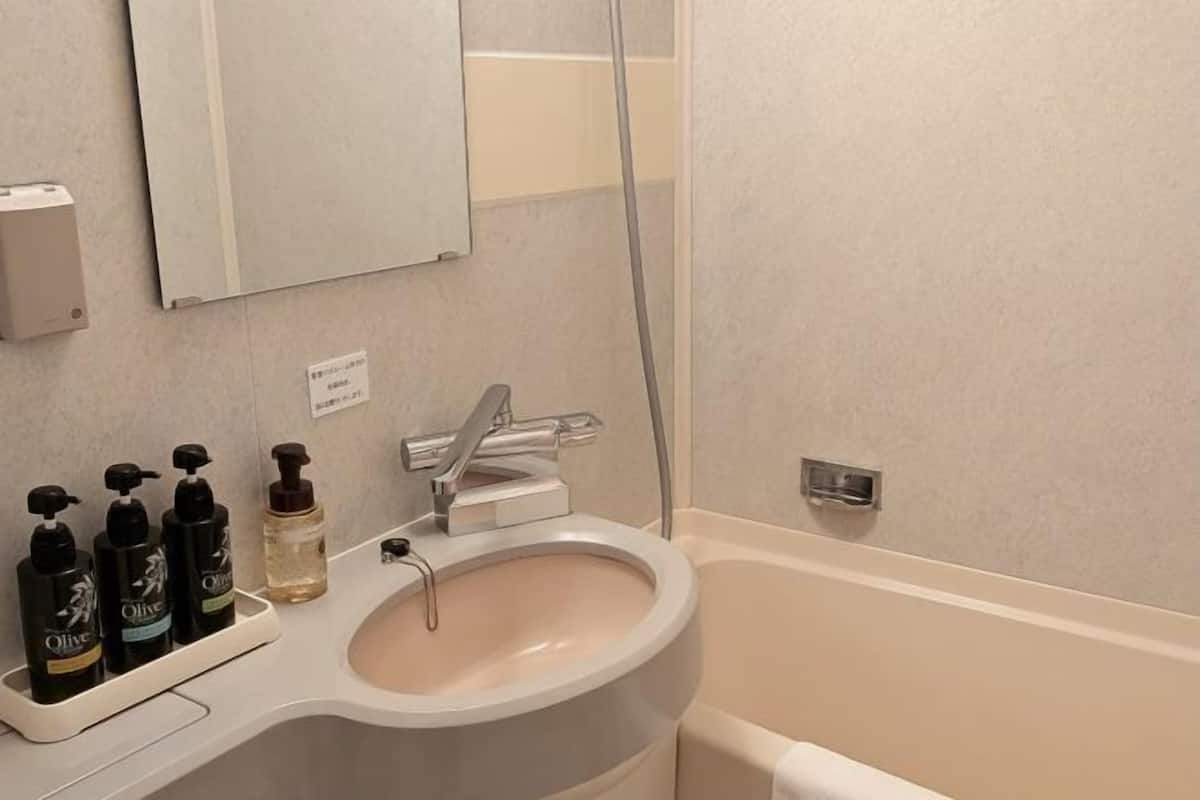 Combined shower/bathtub, free toiletries, hair dryer, slippers