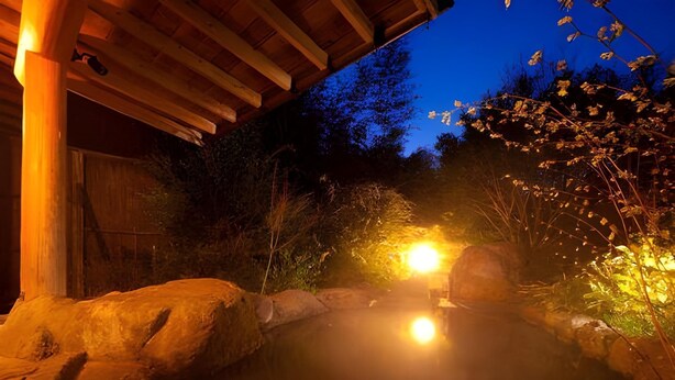 Vista nocturna de un onsen japonés tradicional con estructura de madera sobre él, rodeado de rocas y vegetación.