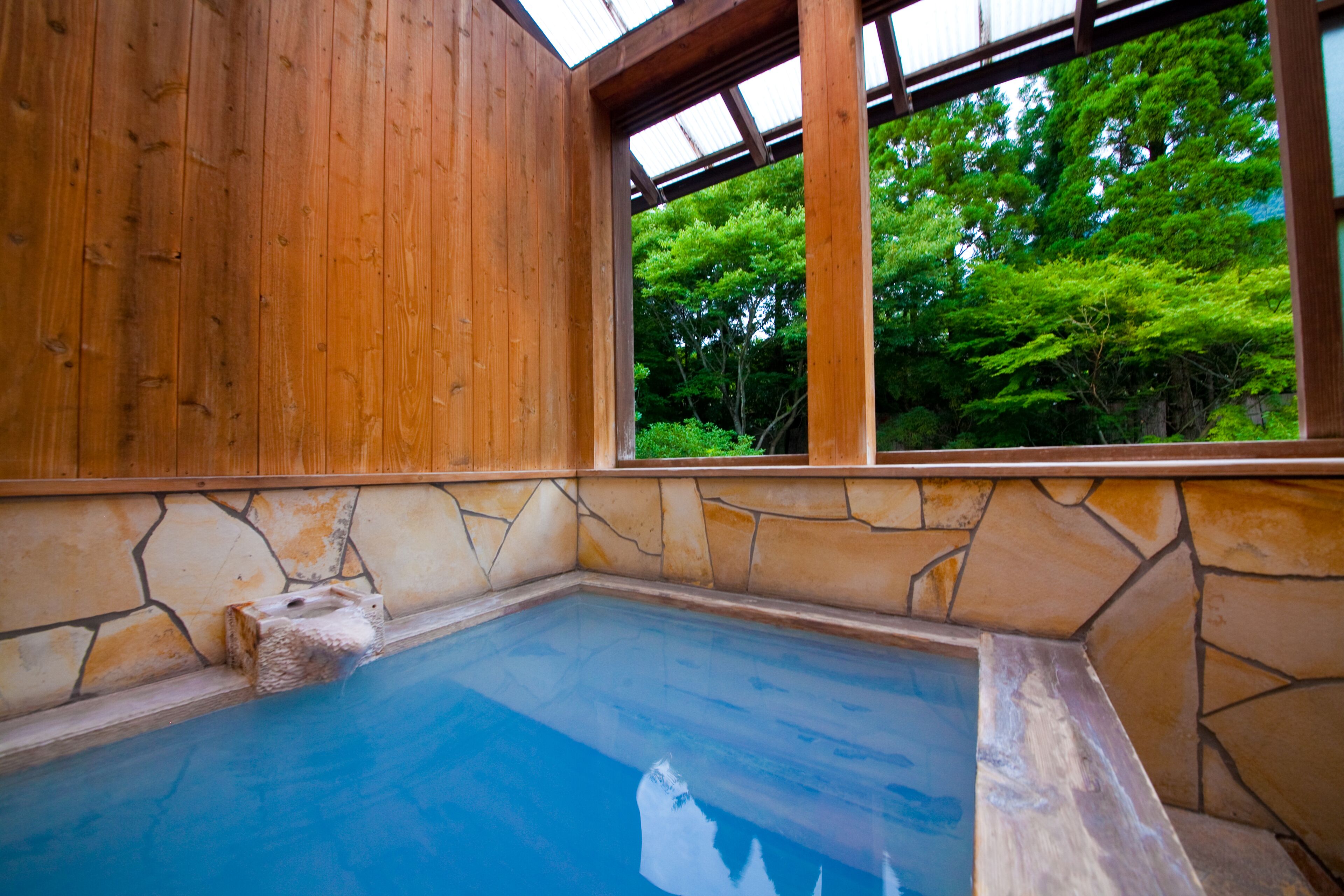 hair dryer, bidet, towels