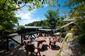 Terras