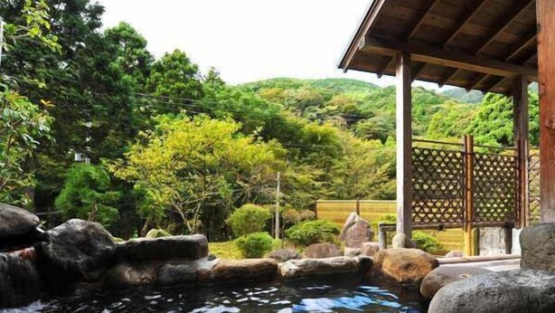 En traditionell japansk trädgård med en damm, stenar och frodigt växtlighet.