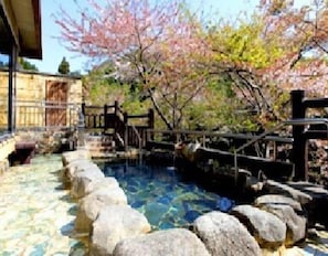 Indoor pool - Shigisan Kanko Hotel (Sango)