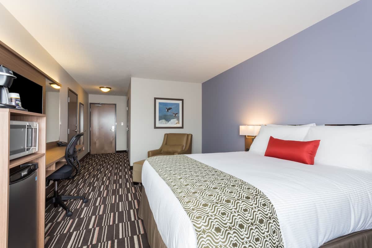 Room, 1 Queen Bed, Accessible, Non Smoking | Desk, laptop workspace, iron/ironing board, free WiFi