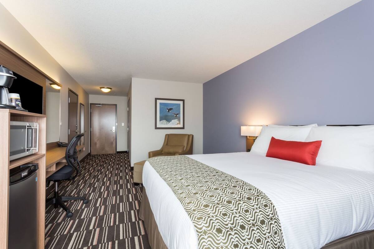 A hotel room with a bed, a desk with a chair, a microwave, and a television.