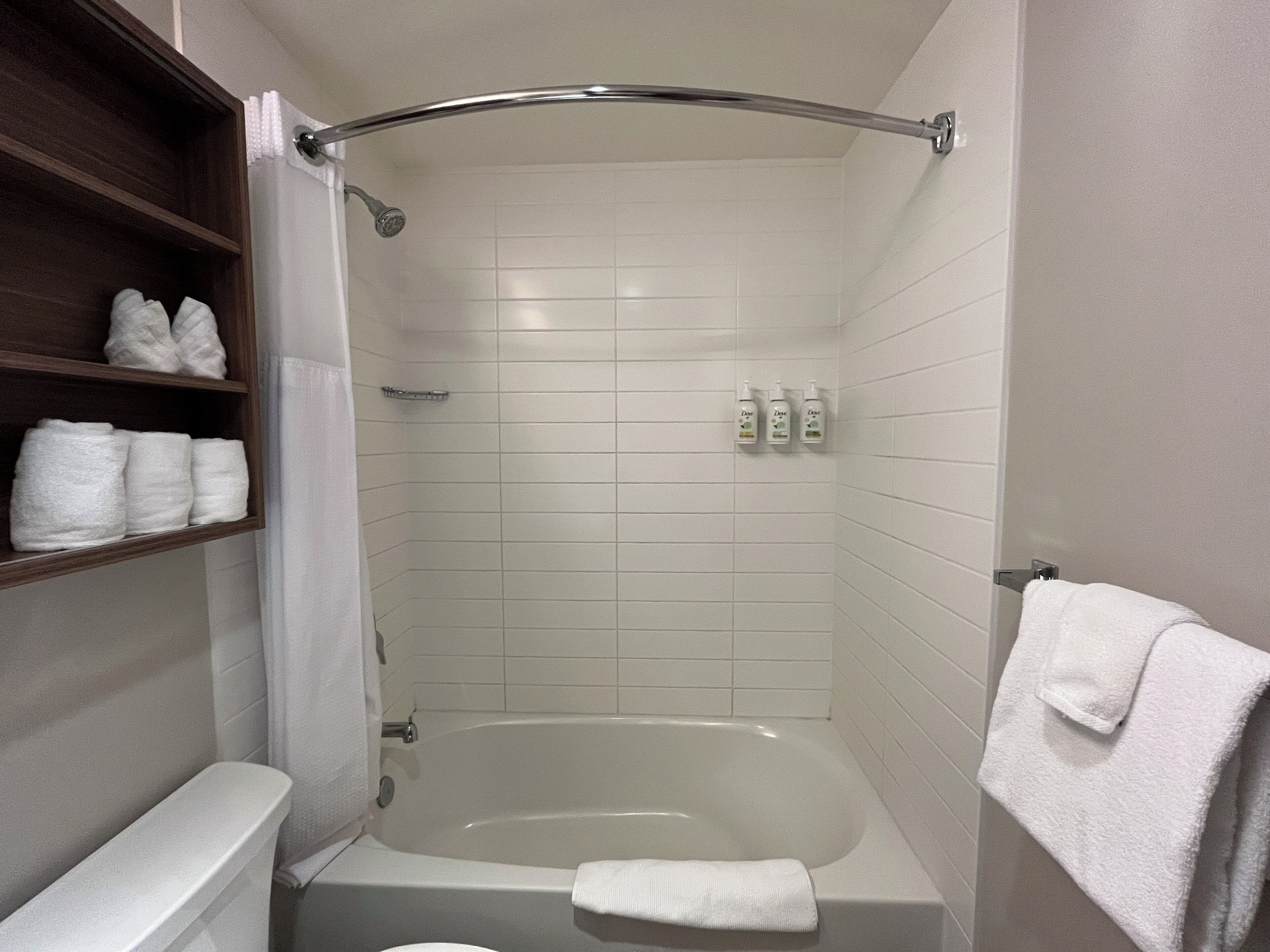 suite, 1 bedroom, non smoking (1 queen bed) | bathroom | free toiletries, hair dryer, towels, soap