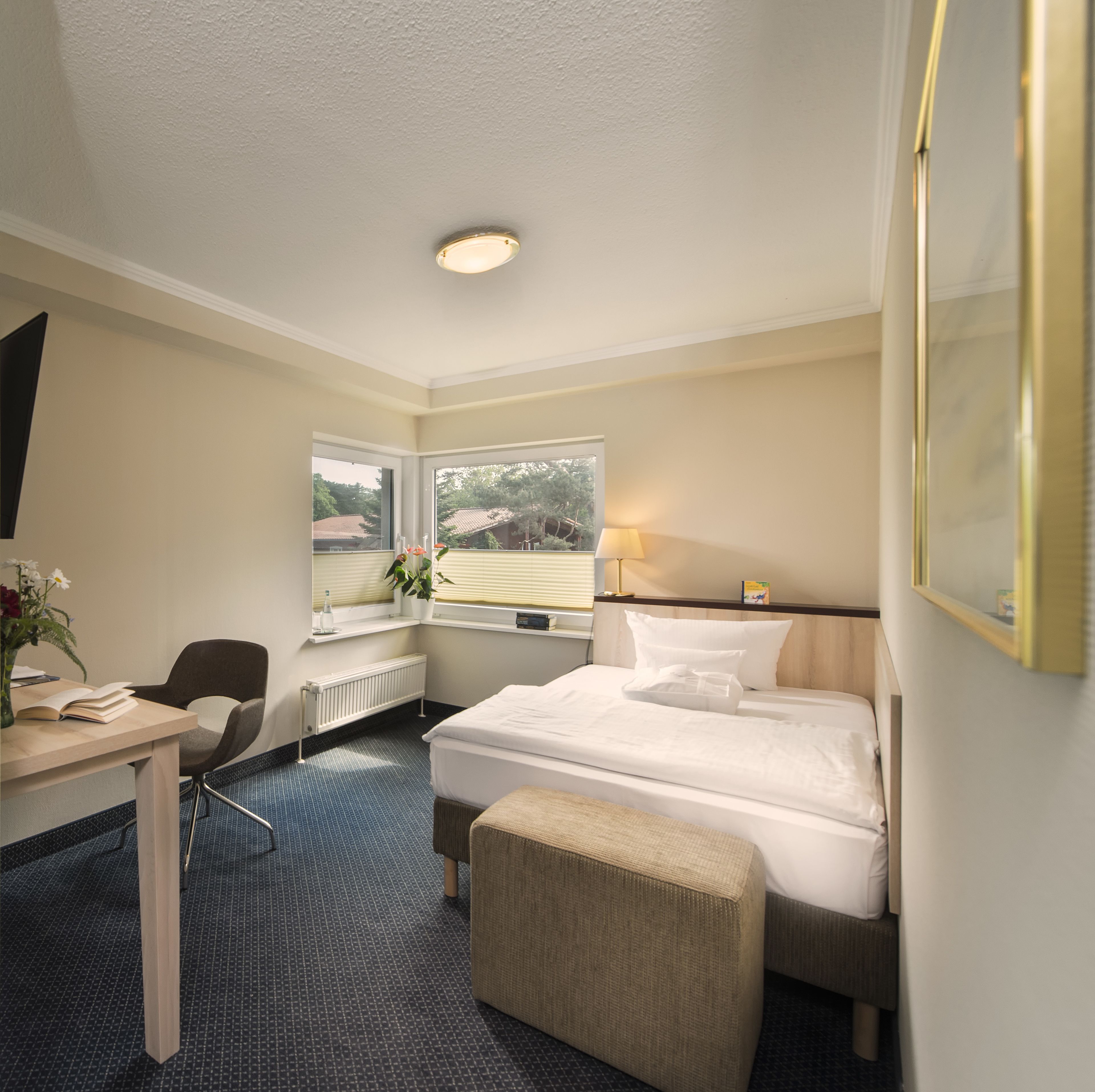 Habitación de hotel con cama, escritorio, silla, ventana con vistas y radiador.