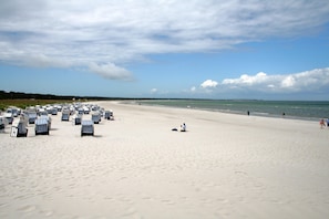 Una spiaggia con file di sdraio a righe e una battigia sabbiosa.