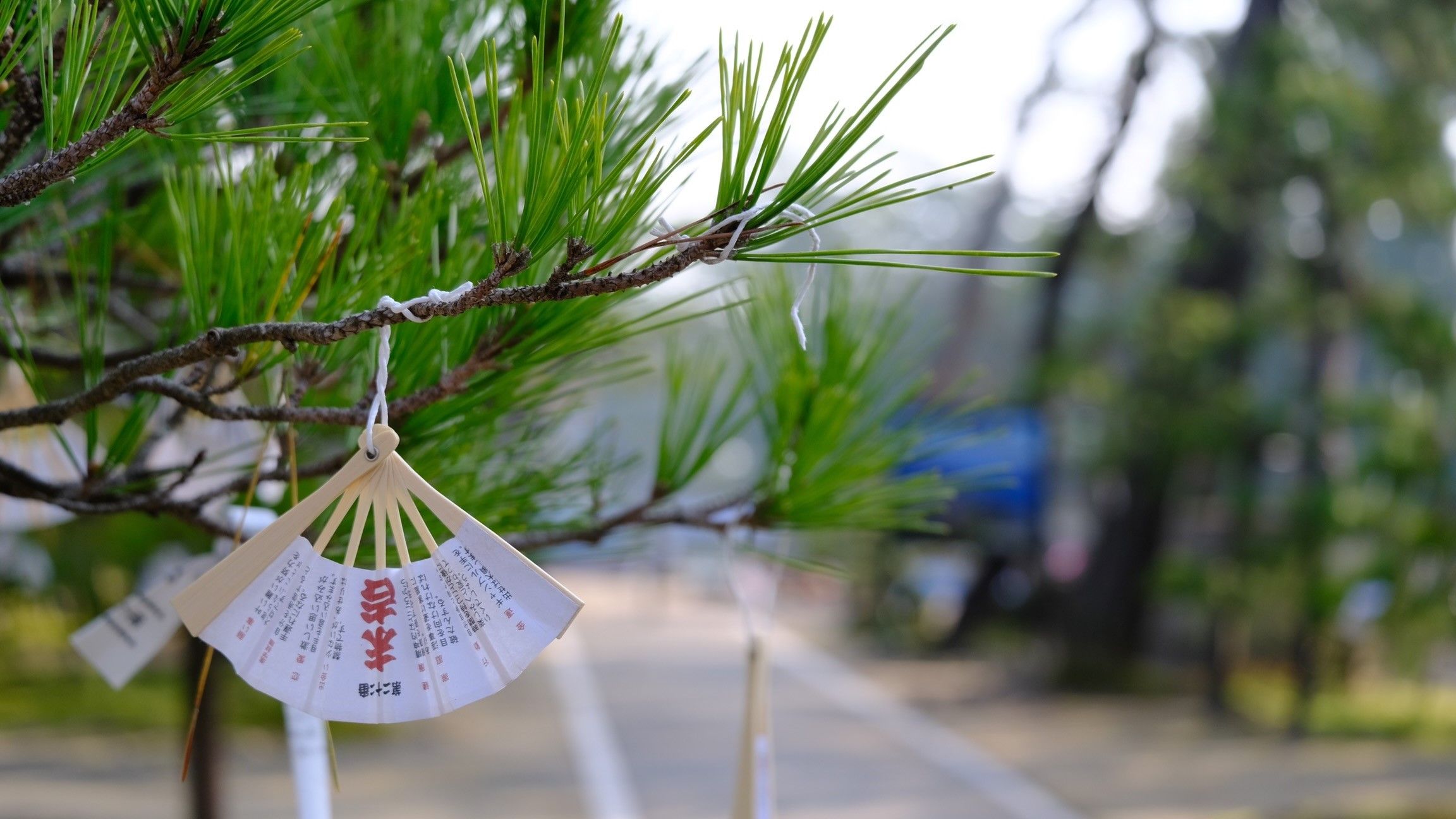 Diverse