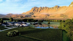 A vineyard with rows of grapevines, a large building with a circular structure, and a mountain range in the background. - Craggy Range Luxury Vineyard Retreat (Tuki Tuki)