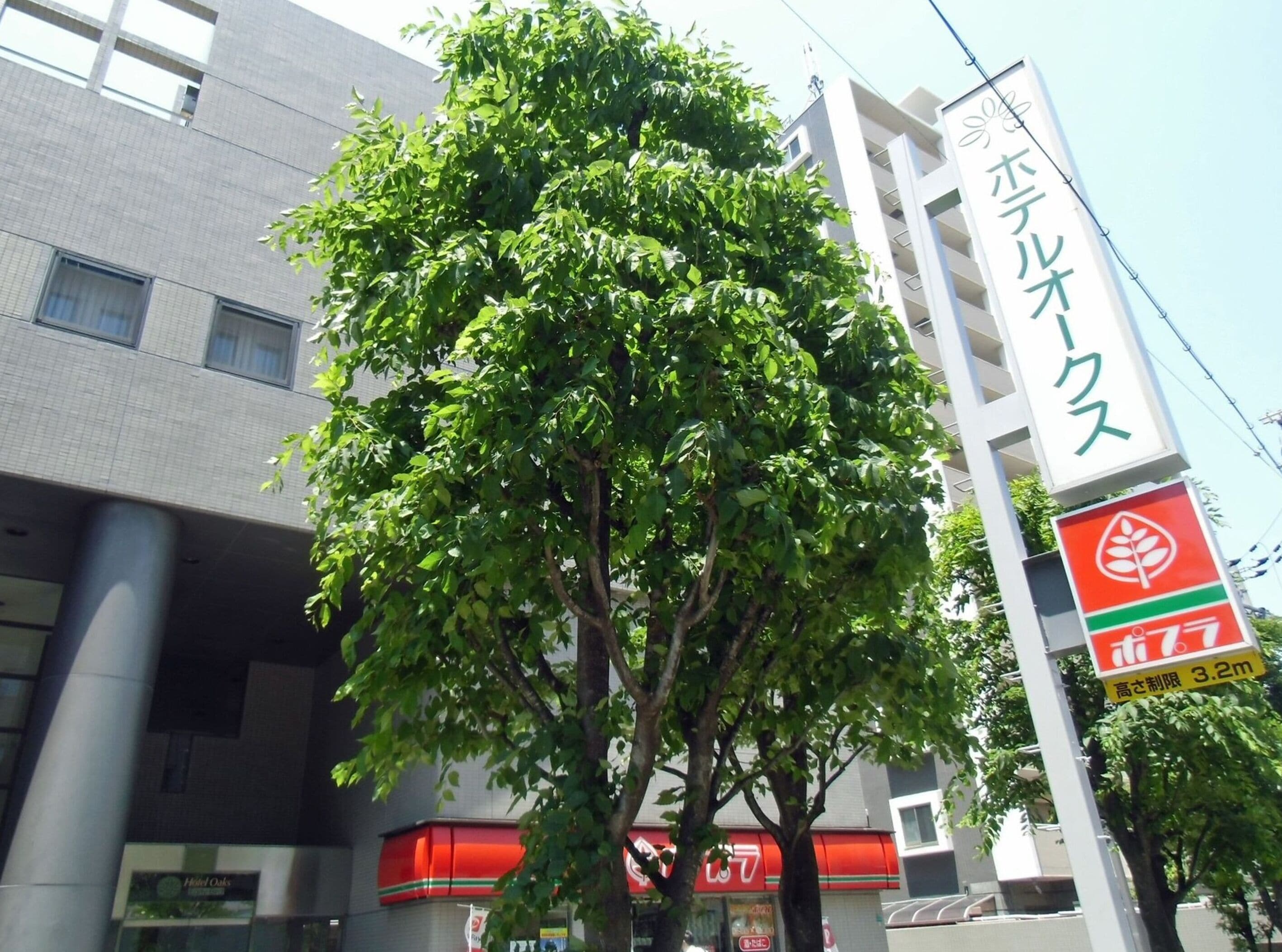 Foto - Hotel Oaks Early-Bird Osaka Morinomiya/ Vacation STAY 28691