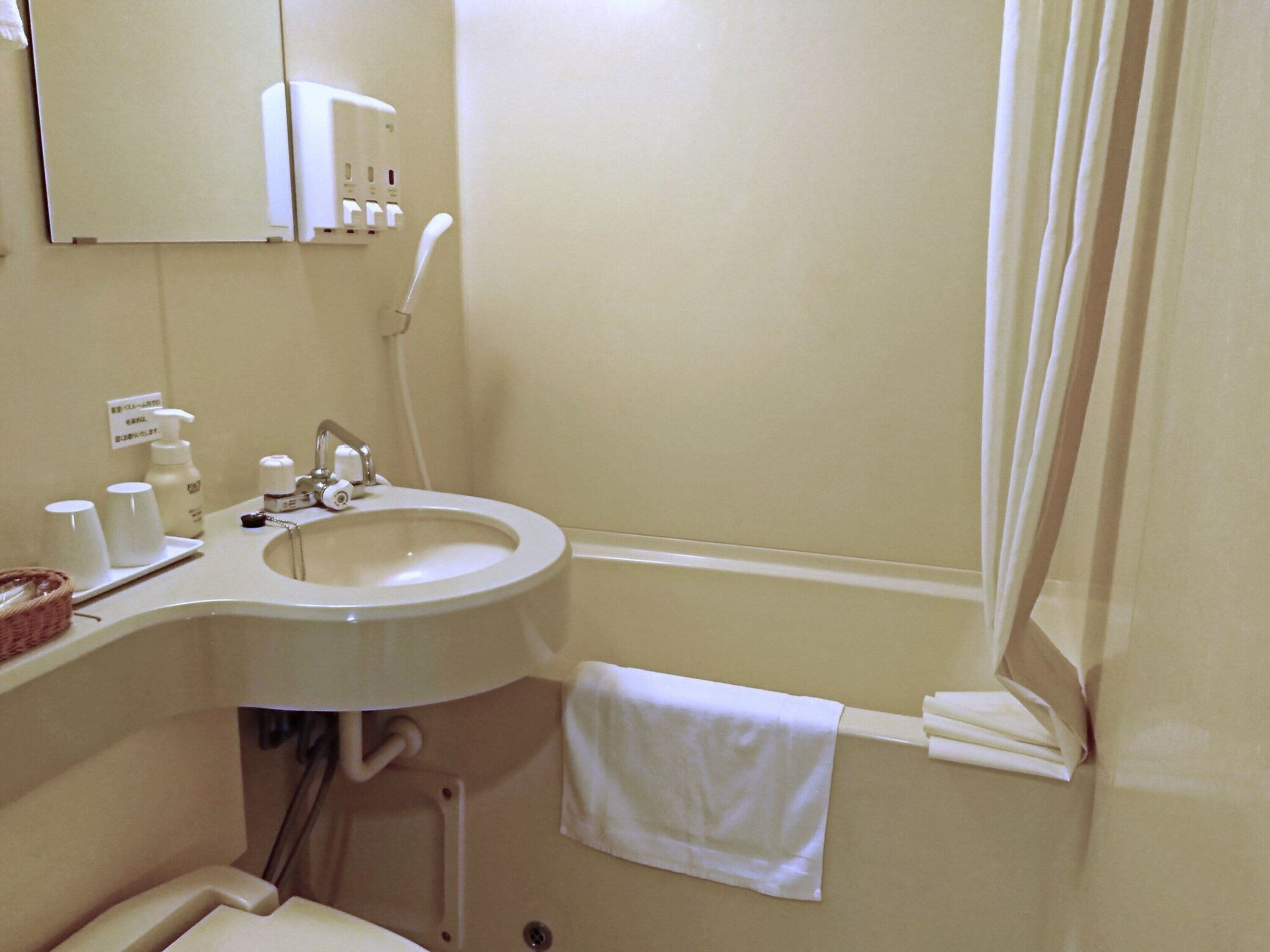 combined shower/bathtub, free toiletries, hair dryer, slippers