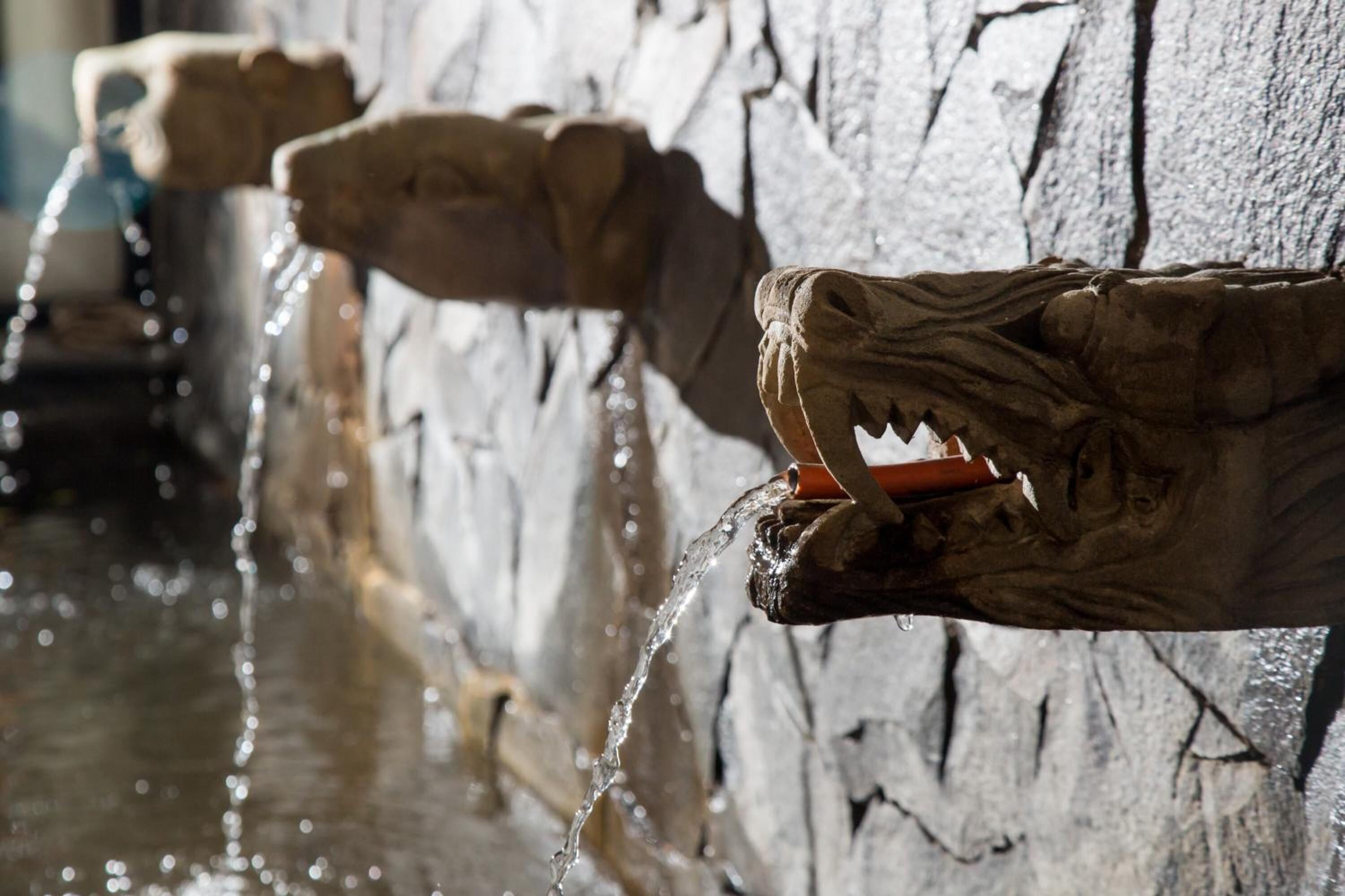 Photo - Chic Quarter