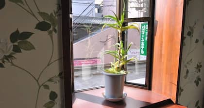 Futsukaichi Green Hotel