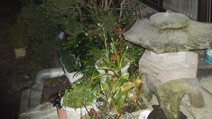 A garden area with various potted plants and a stone structure. - Jyonai Hotel (Karatsu)