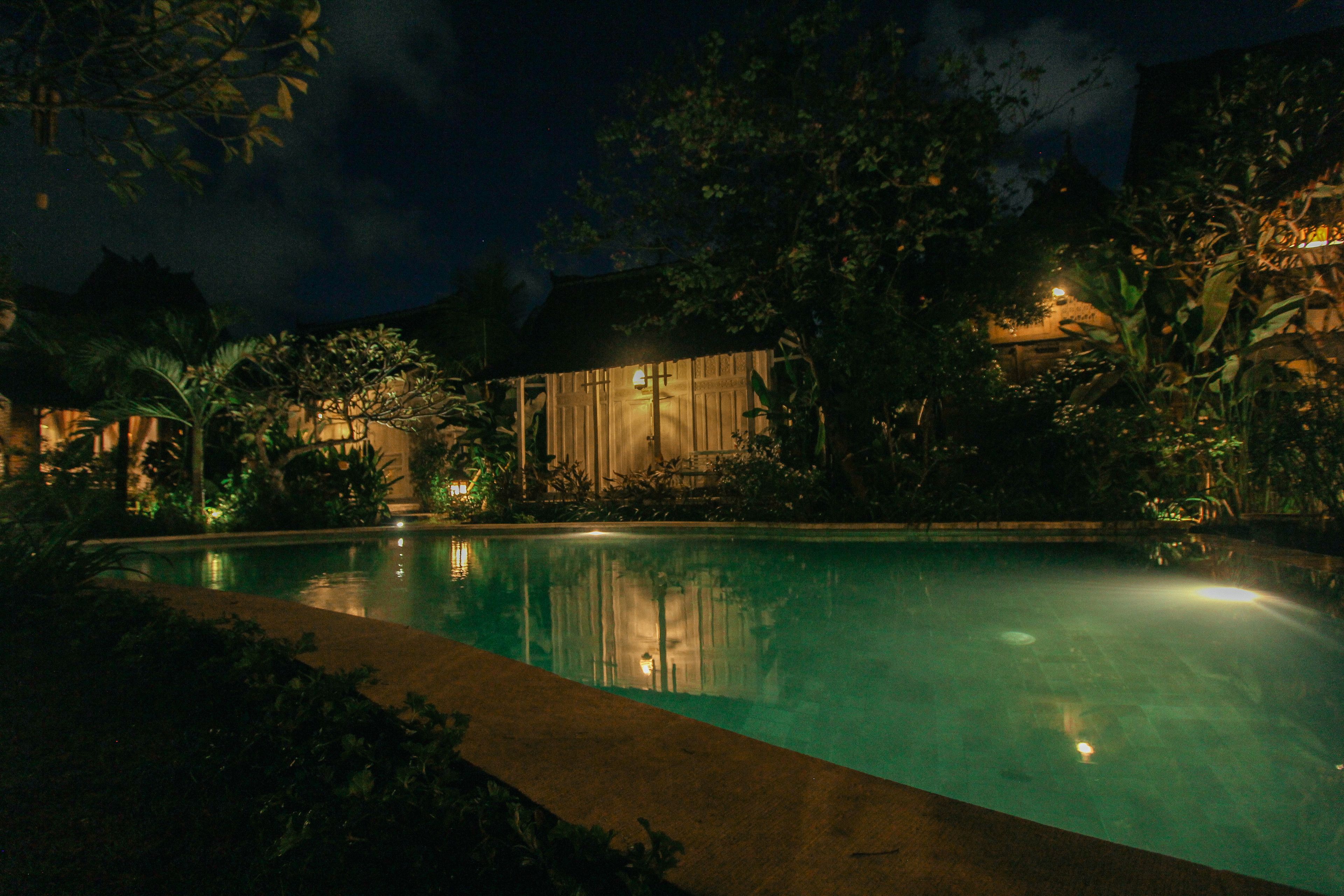 Piscine extérieure, chaises longues