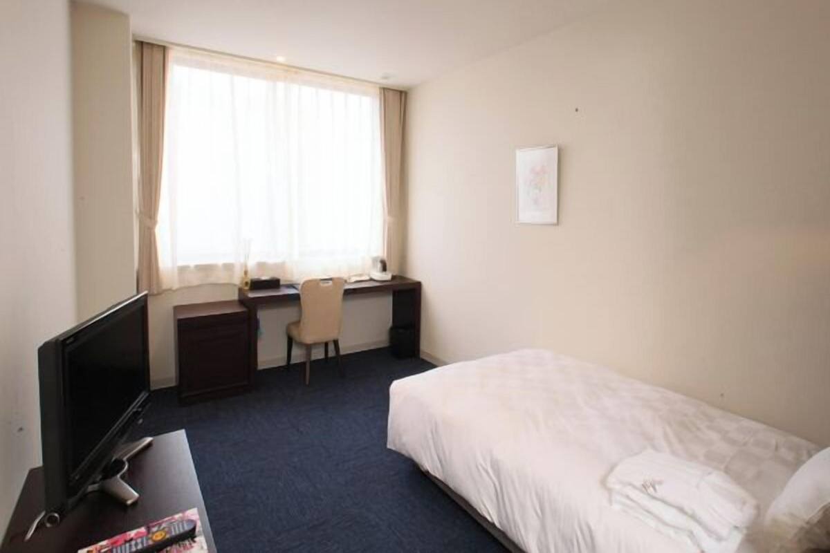 A hotel room with a bed, a desk, a chair, a television, and a window with curtains.