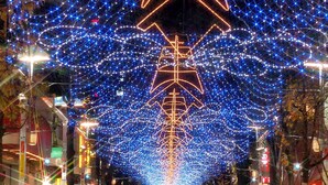 Une rue bordée d’arbres et illuminée de lumières bleues et blanches, créant une ambiance festive.