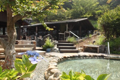 Jigoku Onsen Seifuso