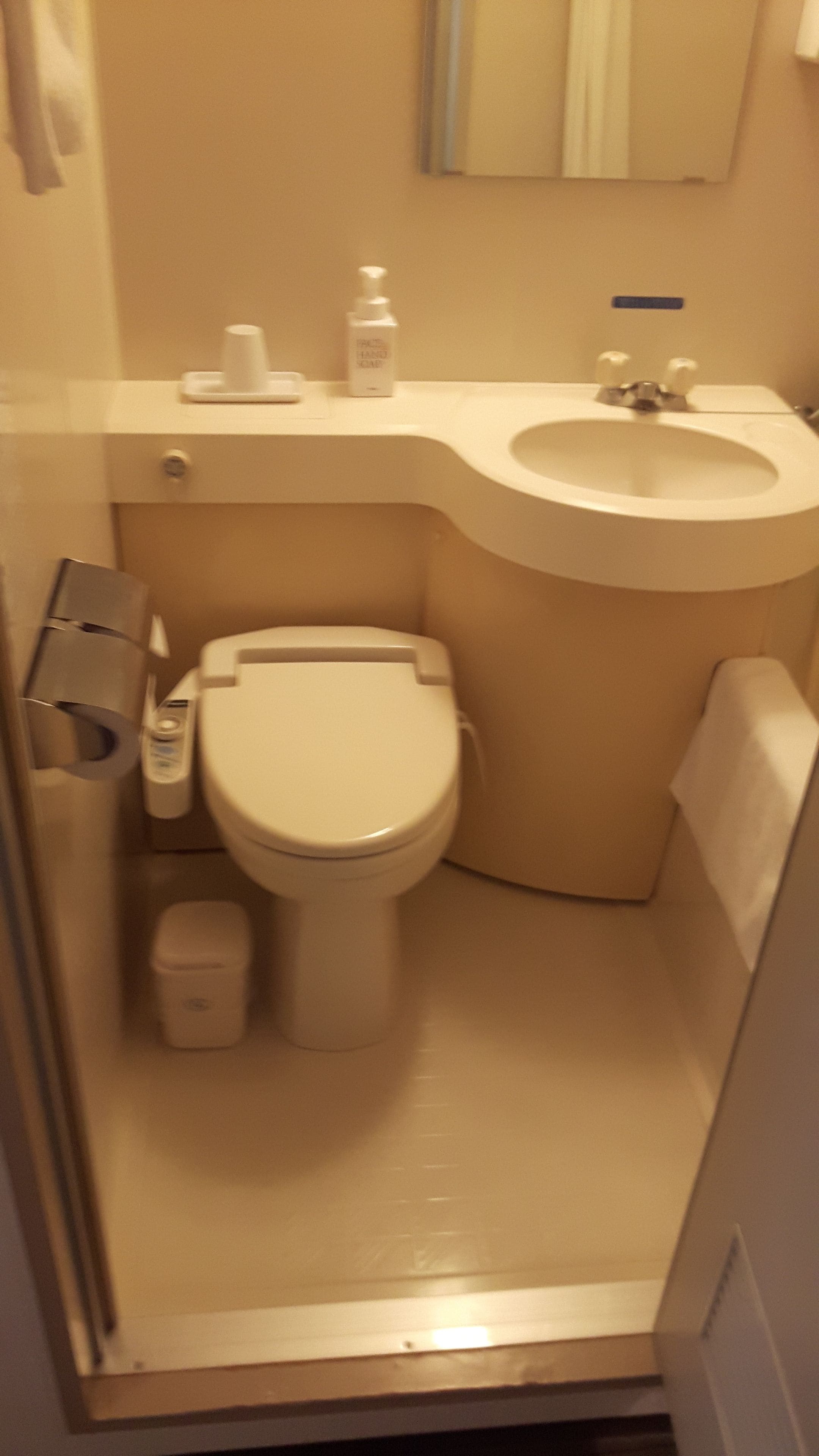 combined shower/bathtub, slippers, bidet, towels