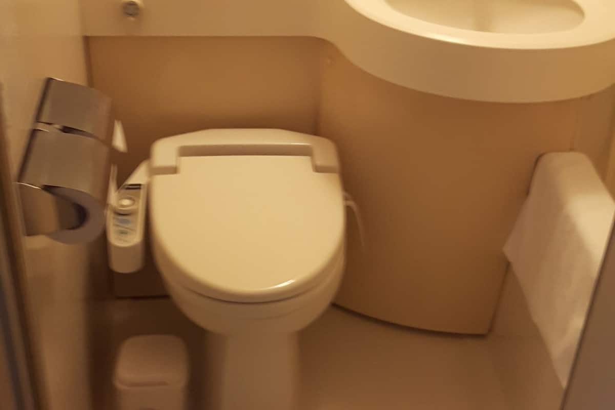 combined shower/bathtub, slippers, bidet, towels