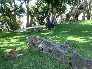 Jardines del alojamiento