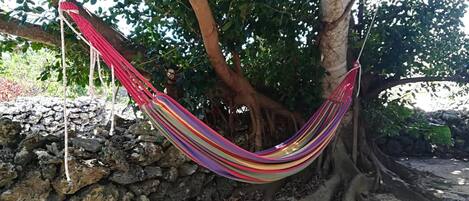 A hammock tied between two trees, with a stone wall and a tree trunk visible in the background.