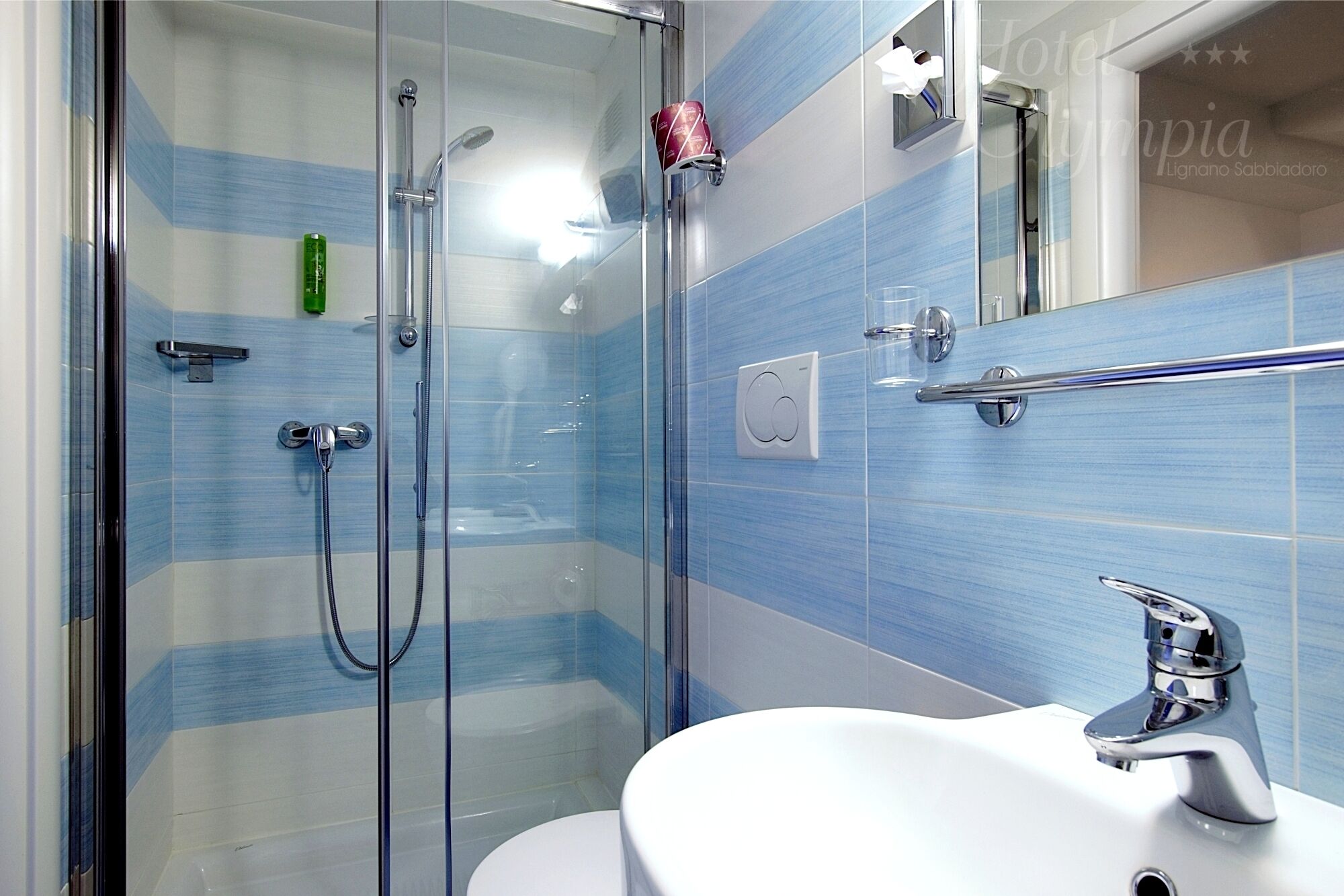 single room | bathroom | shower, hair dryer, bidet, towels